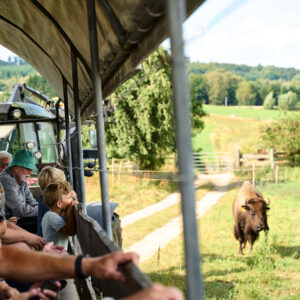 Guidet Tur 02.04.2026 kl. 13.00